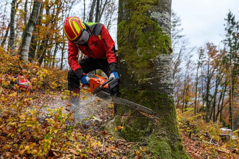 Jährlich 1.500 Verletzte beim Waldarbeiten