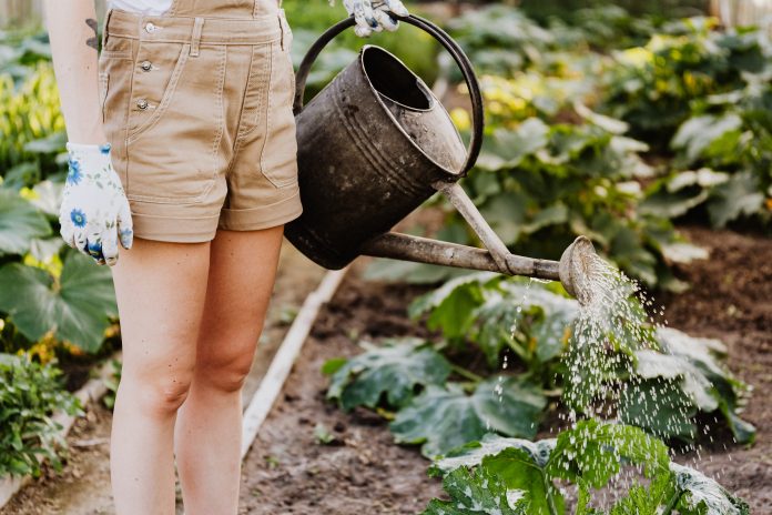 Garten Sicherheit Gartenarbeit Unfallprävention Blumen