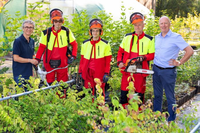 Green Care WALD: Soziale Waldarbeit schafft sinnvolle und sichere Arbeitsplätze