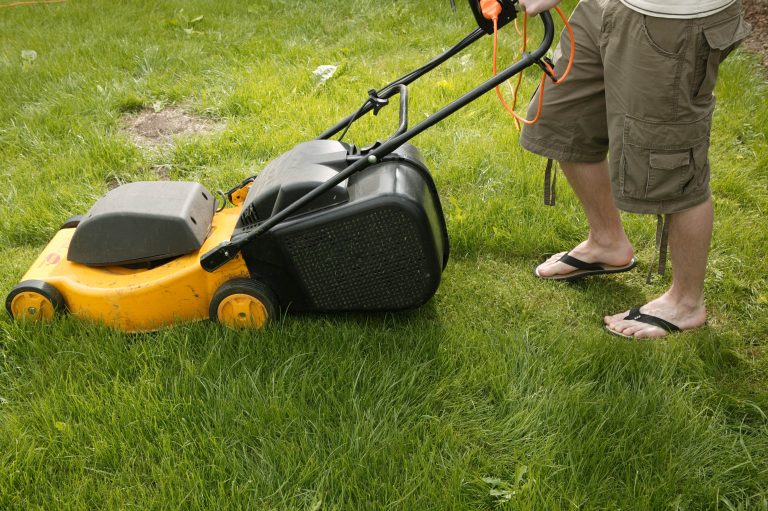 Im grünen Bereich: Unfallfrei durch die Gartensaison