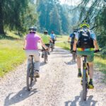 Mountainbiker beim Fahren auf einem Waldweg.