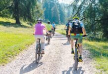 Mountainbiker beim Fahren auf einem Waldweg.