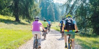 Mountainbiker beim Fahren auf einem Waldweg.