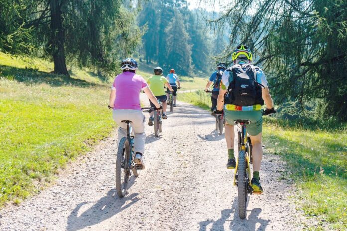 Mountainbiker beim Fahren auf einem Waldweg.