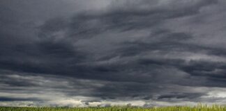 Der Himmel über einem Feld ist mit dunkelgrauen Wolken gefüllt.