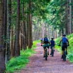 Mountainbiker fahren auf einer Forststraße durch einen Wald.