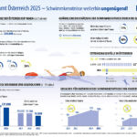 Eine Grafik mit den Ergebnissen der Schwimmstudie 2025.