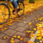 Ein Rad fährt über Pflastersteine auf einem Weg mit gelbem Herbstlaub.