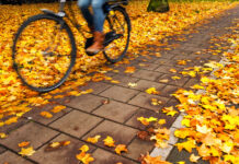 Ein Rad fährt über Pflastersteine auf einem Weg mit gelbem Herbstlaub.