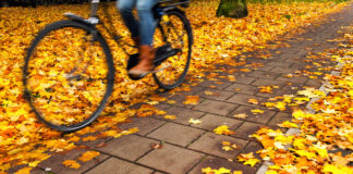 Ein Rad fährt über Pflastersteine auf einem Weg mit gelbem Herbstlaub.