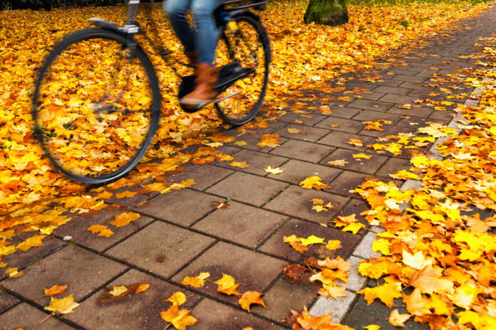 Ein Rad fährt über Pflastersteine auf einem Weg mit gelbem Herbstlaub.
