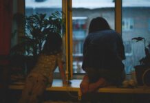 Foto von MIROV auf Unsplash