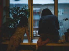 Foto von MIROV auf Unsplash