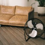 Eine beige Couch neben einer Topfpflanze und einem Ventilator. Im Hintergrund sind Schatten eines Fensters durch die Sonneneinstrahlung zu sehen.