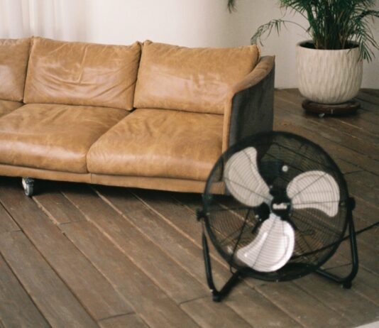 Eine beige Couch neben einer Topfpflanze und einem Ventilator. Im Hintergrund sind Schatten eines Fensters durch die Sonneneinstrahlung zu sehen.