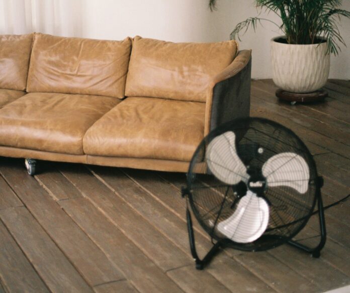 Eine beige Couch neben einer Topfpflanze und einem Ventilator. Im Hintergrund sind Schatten eines Fensters durch die Sonneneinstrahlung zu sehen.
