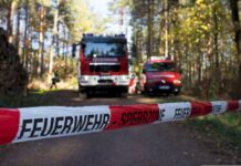 Waldbrände