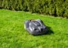Ein dunkler Mähroboter auf einem grünen Rasen. Im Hintergrund ist eine Hecke aus Thujen.