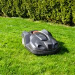 Ein dunkler Mähroboter auf einem grünen Rasen. Im Hintergrund ist eine Hecke aus Thujen.