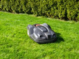 Ein dunkler Mähroboter auf einem grünen Rasen. Im Hintergrund ist eine Hecke aus Thujen.