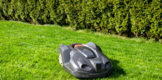 Ein dunkler Mähroboter auf einem grünen Rasen. Im Hintergrund ist eine Hecke aus Thujen.