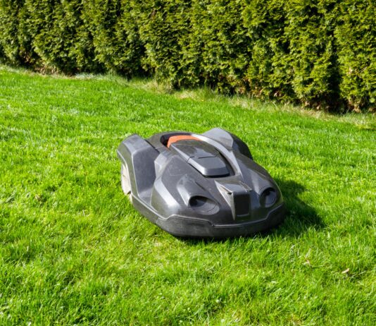 Ein dunkler Mähroboter auf einem grünen Rasen. Im Hintergrund ist eine Hecke aus Thujen.
