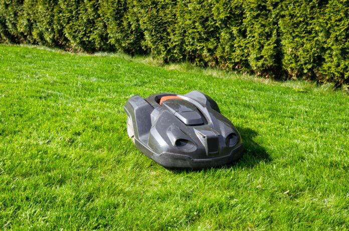 Ein dunkler Mähroboter auf einem grünen Rasen. Im Hintergrund ist eine Hecke aus Thujen.