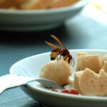 Wespen im Essen
