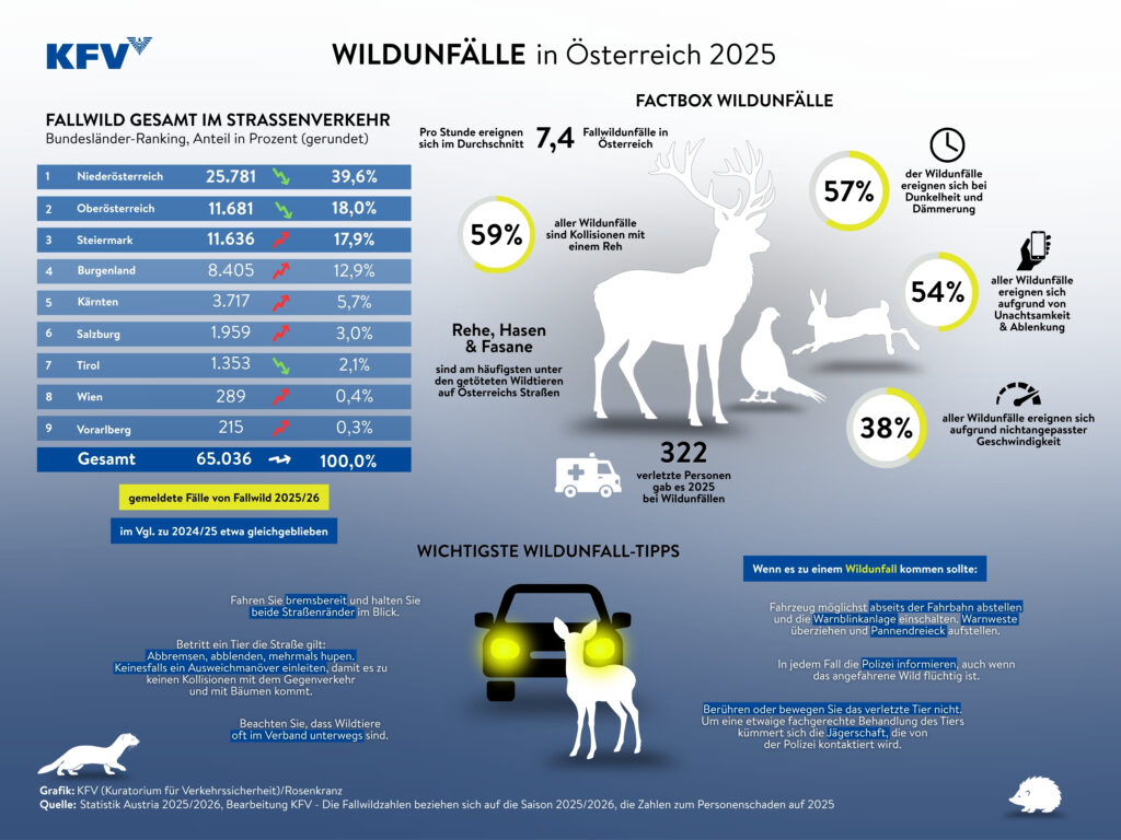 Eine Grafik des KFV zu den aktuellen Zahlen aus der Wildunfallstatistik und Fallwild im Straßenverkehr nach Bundesländern sowie Sicherheitstipps, um Wildunfälle zu verhindern bzw. im Ernstfall richtig zu reagieren.