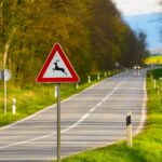 Eine Achtung Wildwechsel-Schild auf einer Landstraße.
