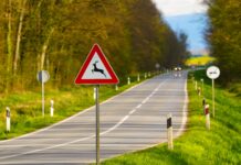 Achtung Wildwechsel: KFV, Polizei, NÖ Jagdverband und ÖAMTC warnen vor erhöhter Wildunfallgefahr Eine Achtung Wildwechsel-Schild auf einer Landstraße.
