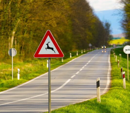 Eine Achtung Wildwechsel-Schild auf einer Landstraße.
