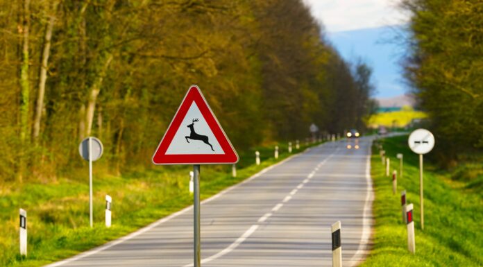 Eine Achtung Wildwechsel-Schild auf einer Landstraße.