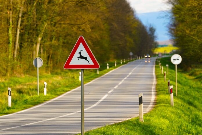 pexels-vladimirsrajber-20772193 Eine Achtung Wildwechsel-Schild auf einer Landstraße.